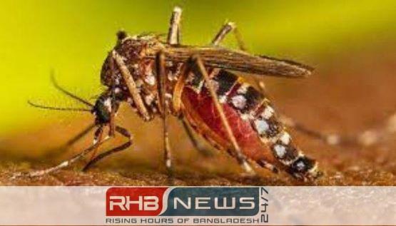 ডেঙ্গুতে ২৪ ঘণ্টায় প্রাণ গেল..
