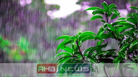 আগামী ৪৮ ঘণ্টায় ৩ বিভাগে..