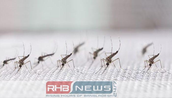 জলাবদ্ধ শহর, মশার দখলে জীবন..