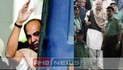 সালাউদ্দিন কাদের চৌধুরীর ট্রাইব্যুনাল সম্পর্কিত..