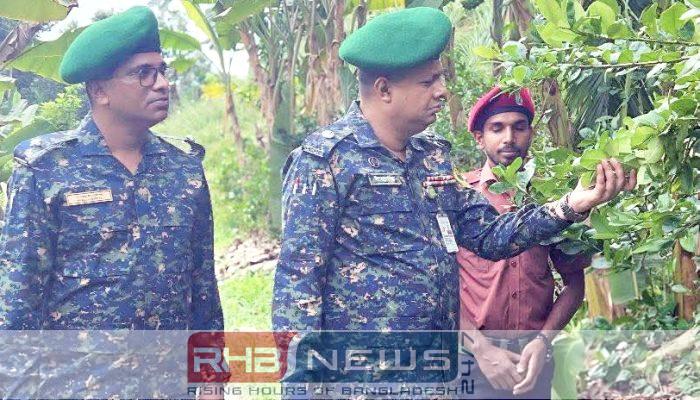 শ্রীমঙ্গলে ‘আতর আলী হর্টিকালচার এন্ড..