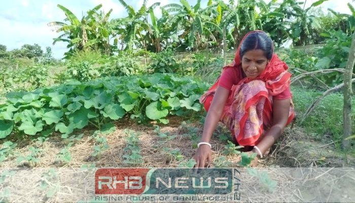 চারা বিক্রি করে স্বাবলম্বী সুনিতি..