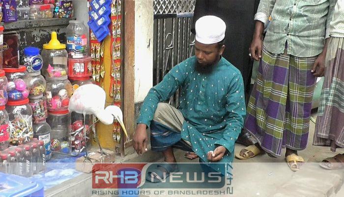 ভালোবাসার বন্ধনে বন্যরাও পোষ মানে