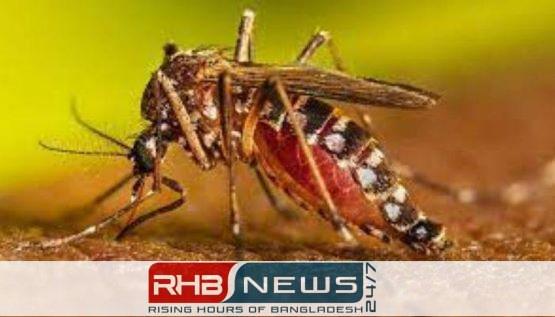ডেঙ্গুতে ২৪ ঘণ্টায় প্রাণ গেল..
