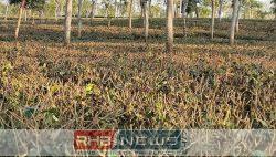 'হৃদিতার প্রেমের ফাঁদ' থেকে সাবধান!