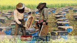 'হৃদিতার প্রেমের ফাঁদ' থেকে সাবধান!