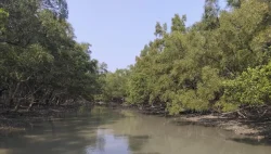 'হৃদিতার প্রেমের ফাঁদ' থেকে সাবধান!