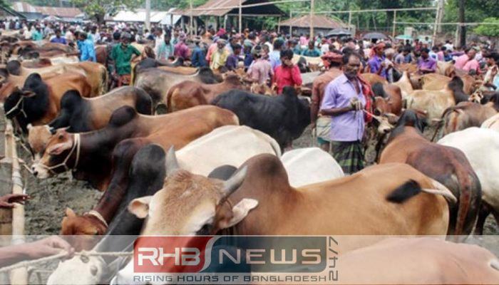 ঢাকায় বসছে ২৮টি কুরবানির পশুর..