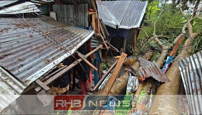 দুমকিতে কালবৈশাখীর তাণ্ডব: গাছ উপড়ে..
