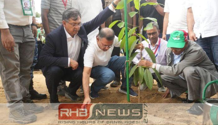 জলবায়ু মোকাবিলায় ২৫ কোটি বৃক্ষরোপণ..
