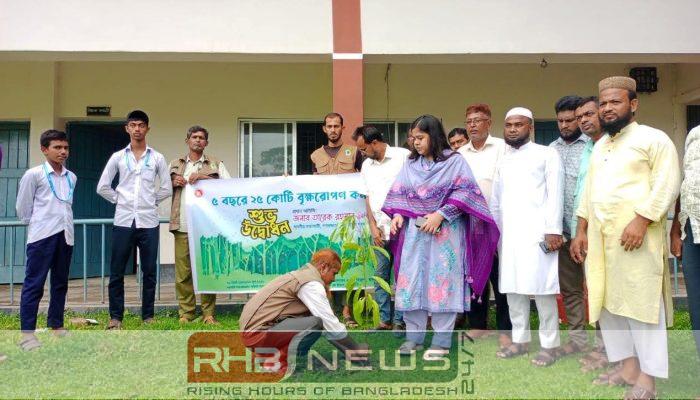 বামনায় বৃক্ষরোপণ কর্মসূচি পালিত
