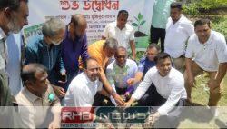 শ্রীমঙ্গলে এক বছরে ১ লাখ..