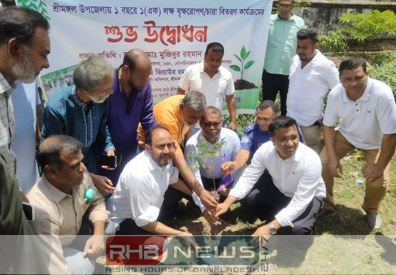 শ্রীমঙ্গলে এক বছরে ১ লাখ..