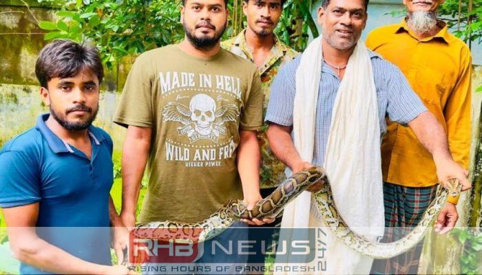 শ্রীমঙ্গলে অজগর সাপ উদ্ধার