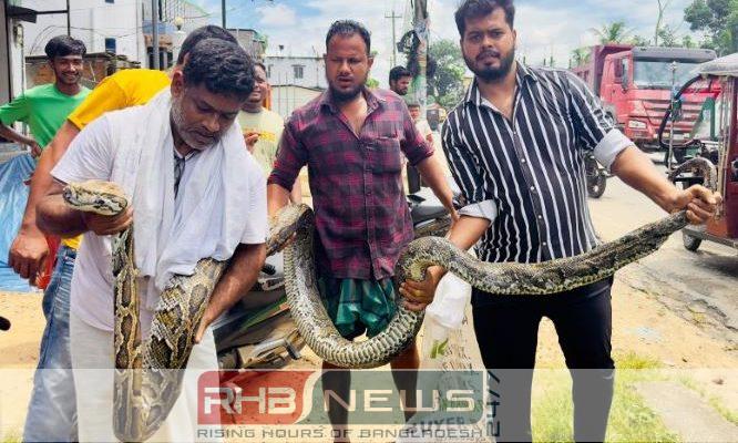 শ্রীমঙ্গলে ১৮ ফুট দৈর্ঘ্যের ও..