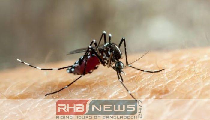 ডেঙ্গু: লক্ষণ, বিপদের সংকেত ও..