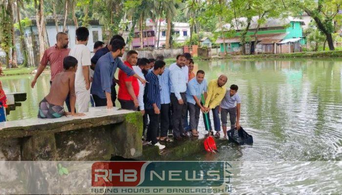 কাঁঠালিয়ায় বিভিন্ন প্রজাতির মাছের পোনা..