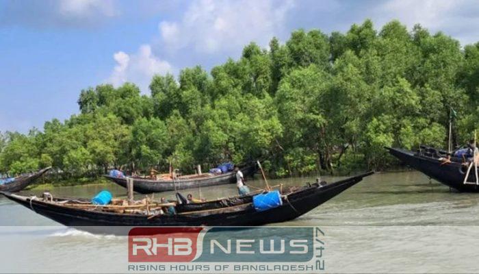 সুন্দরবনে বিষ দিয়ে মাছ ধরা..