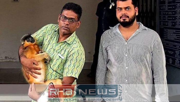 শ্রীমঙ্গলে বৈদ্যুতিক তারে শক লেগে..