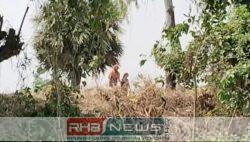 ফুলবাড়ী সীমান্তে নারী ও শিশুকে..